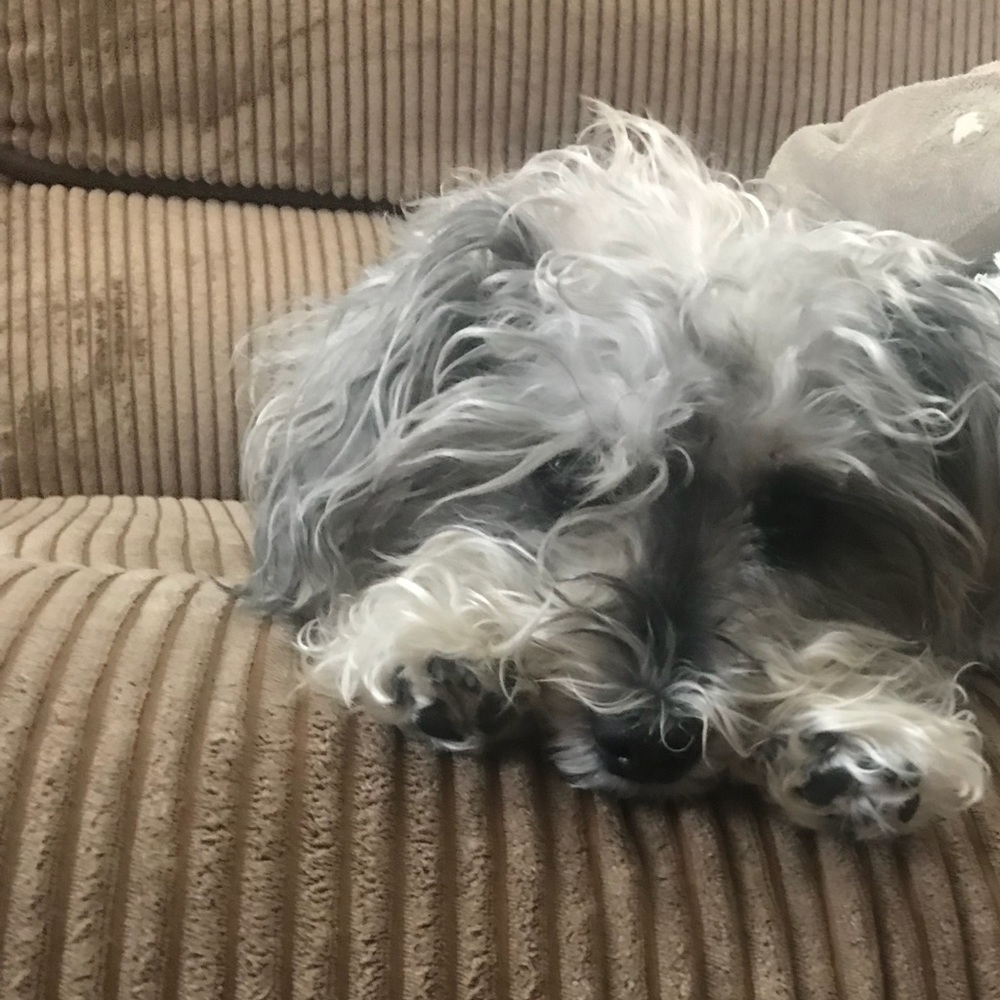 Meet your Posher, Rubina